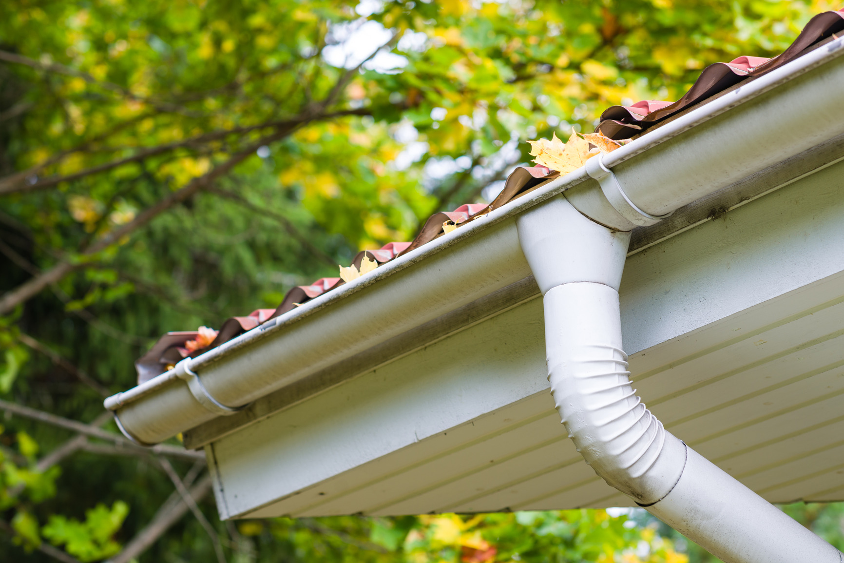 Gutter Cleaning Services in Scarsdale NY
